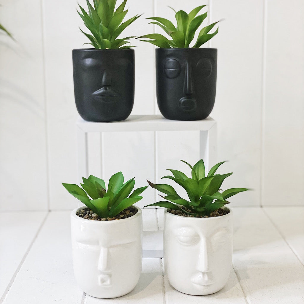 Give your office, bathroom or house space an instant lift with our Rogue Face Pots with Succulent. Our quirky black and white Face pots are full of personality and style. Perfect for adding a splash of green in small spaces.| Bliss Gifts & Homewares | Unit 8, 259 Princes Hwy Ulladulla | South Coast NSW | Online Retail Gift & Homeware Shopping | 0427795959, 44541523