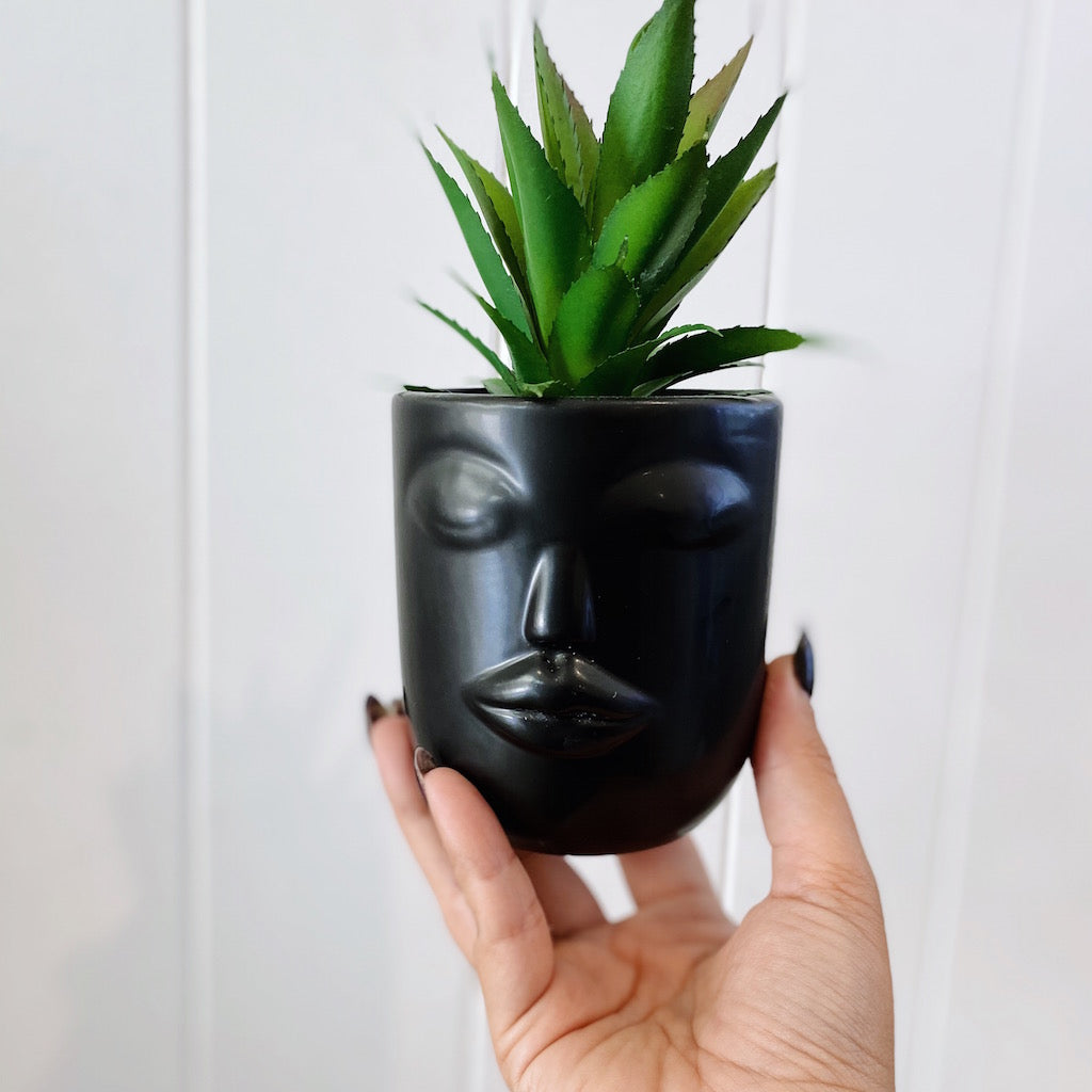 Give your office, bathroom or house space an instant lift with our Rogue Face Pots with Succulent. Our quirky black and white Face pots are full of personality and style. Perfect for adding a splash of green in small spaces.| Bliss Gifts & Homewares | Unit 8, 259 Princes Hwy Ulladulla | South Coast NSW | Online Retail Gift & Homeware Shopping | 0427795959, 44541523