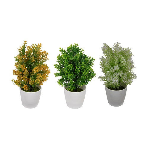 Our Small Shrub In Pot will make a great addition to any space in your home. Having greenery in your home is a great way to freshen up any space and give it new life. Available in 3 different designs. Golden Green White Measures approx: 20cm. | Bliss Gifts &amp; Homewares | Unit 8, 259 Princes Hwy Ulladulla | South Coast NSW | Online Retail Gift &amp; Homeware Shopping | 0427795959, 44541523