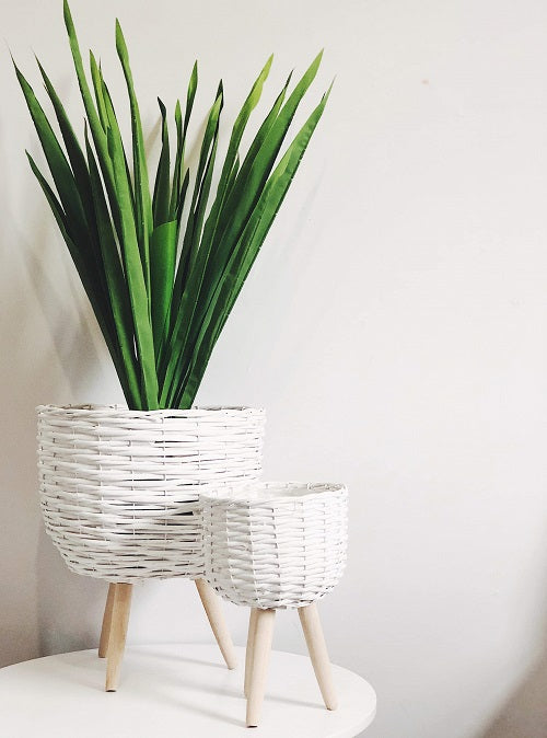 Elevate the look of your plant or floral display with our White Wicker pot Holder - Small. Indoor plants are on trend and our stylish Wicker planters are perfect for showing off your gorgeous greenery. Shop online. AfterPay available. Australia wide Shipping. | Bliss Gifts &amp; Homewares | Unit 8, 259 Princes Hwy Ulladulla | South Coast NSW | 0427795959, 44541523 