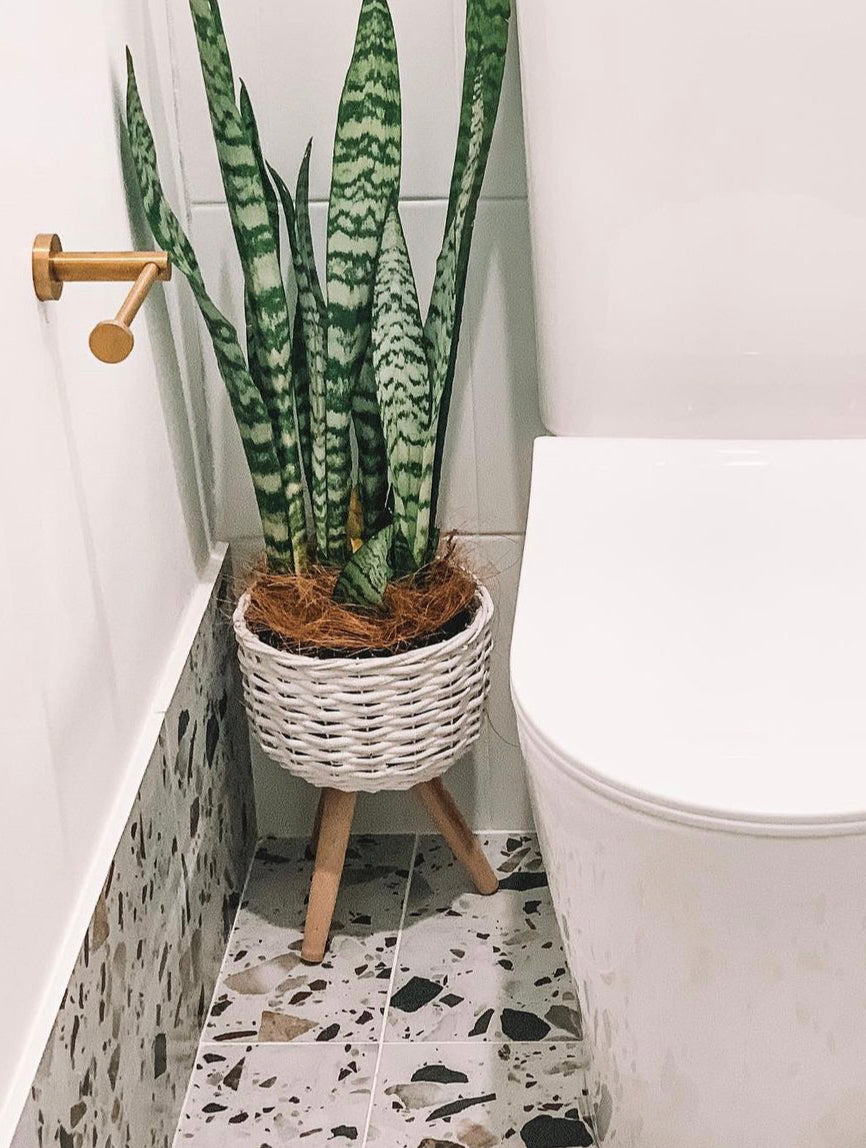 Elevate the look of your plant or floral display with our White Wicker pot Holder - Small. Indoor plants are on trend and our stylish Wicker planters are perfect for showing off your gorgeous greenery. Shop online. AfterPay available. Australia wide Shipping. | Bliss Gifts &amp; Homewares | Unit 8, 259 Princes Hwy Ulladulla | South Coast NSW | 0427795959, 44541523